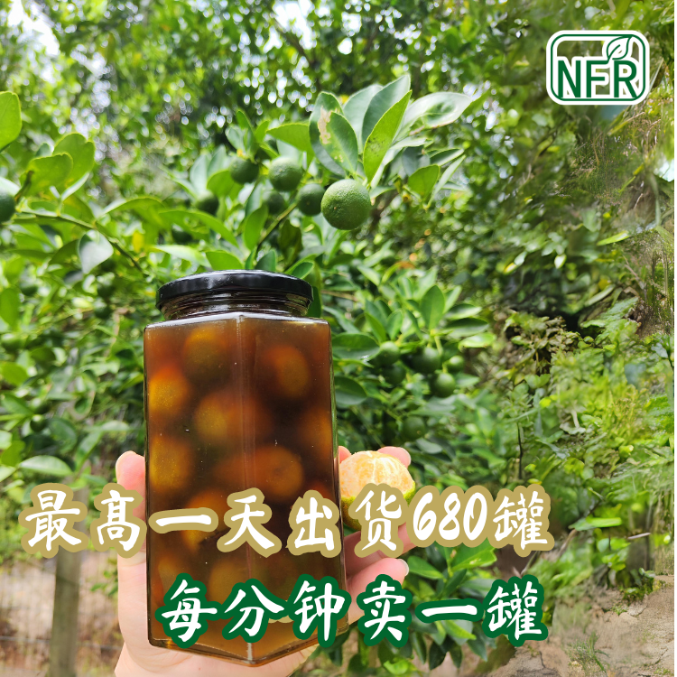 Sour Plum Calamansi 桔子酸梅  (20粒装)