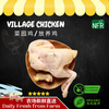 Village Chicken 菜园鸡/放养鸡